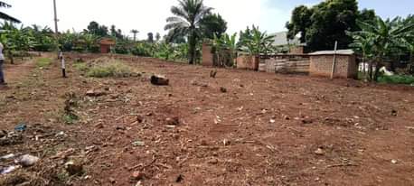 A picture of Town Estate Plots available on Sale in a well Planned