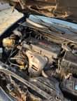 A picture of Camry big daddy