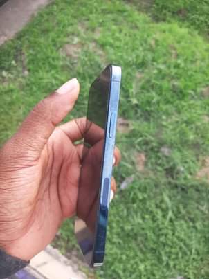 A picture of iPhone 12 Pro