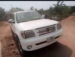 A picture of Grand tiger pick up With mustubishi engine and gear