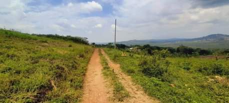 A picture of 50 100ft titled plots at our kakiri kikugi Hillview estate