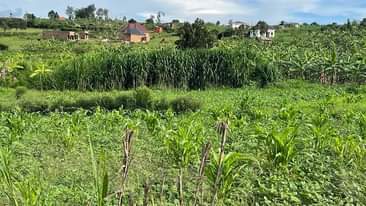 A picture of plots for sale