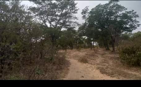 Property for Sale