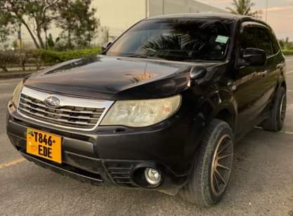 subaru forester