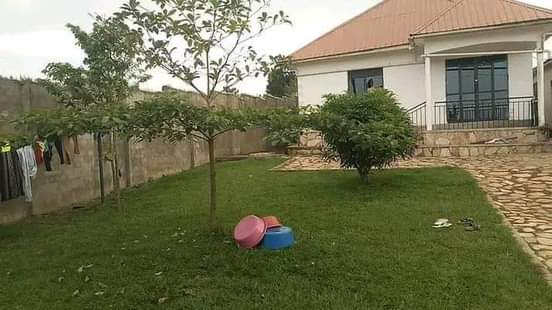 A picture of House with boysquaters
