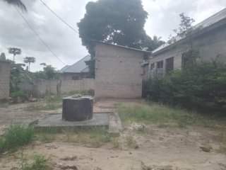 A picture of Freee