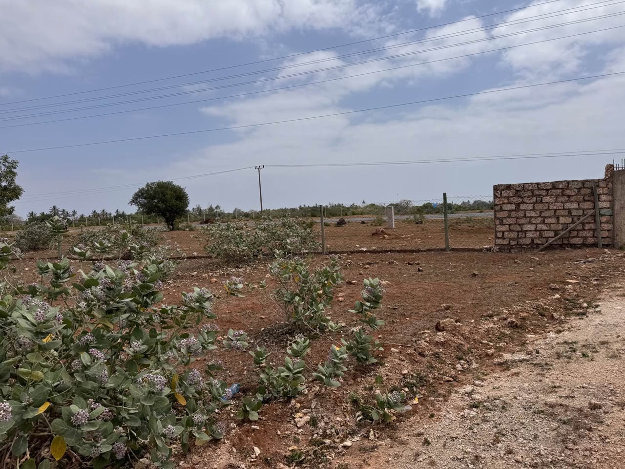 kilifi plots