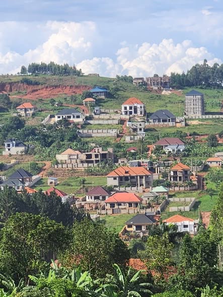 A picture of Namugongo Nabusugwe hill view estate for sale 70M each