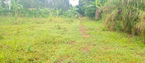 A picture of Plot with ready land title on sale 9.5m Located at