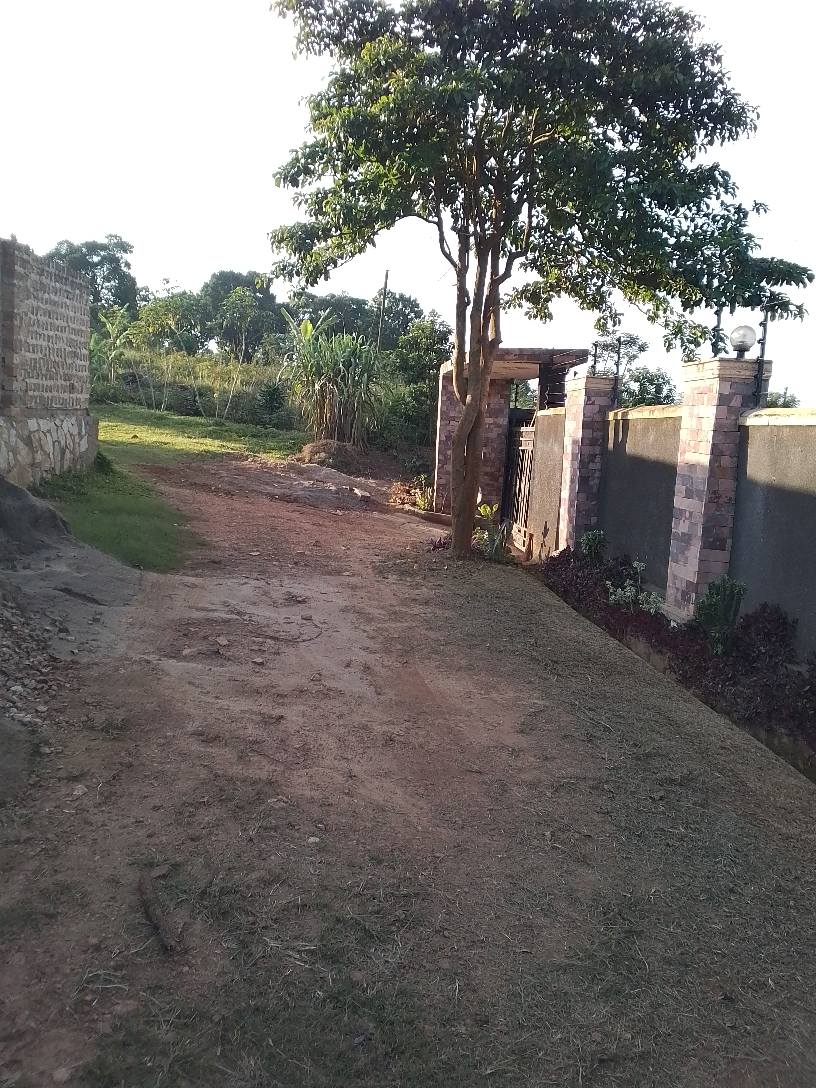 A picture of BUSUBUZI DEAL plot size 50 100fts with uncut title on