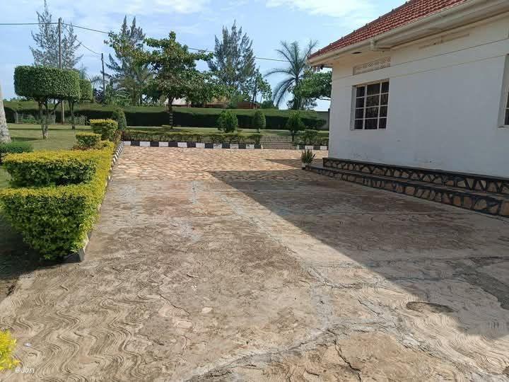 Ssenyange K.