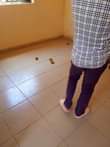 A picture of DOUBLE ROOM FOR RENT IM NDEJJE