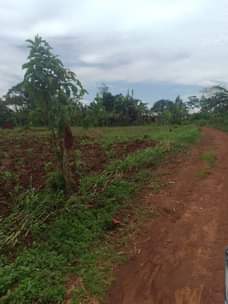 A picture of Land