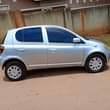 A picture of Vitz