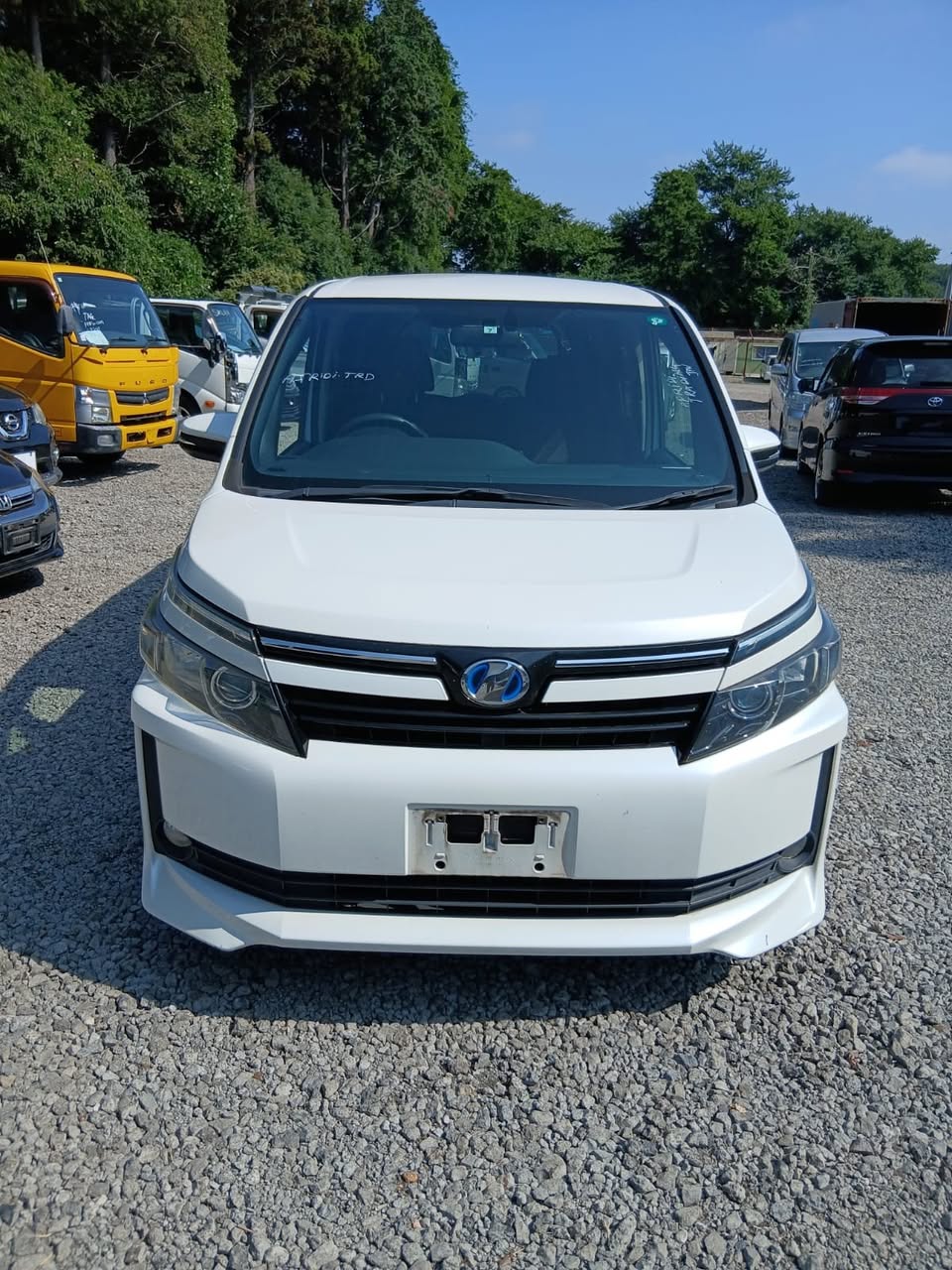 cars