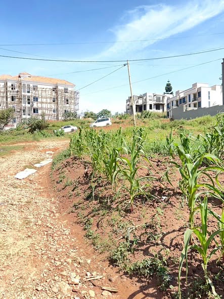 A picture of ANOTHER HOT DEAL 50 100FT PLOT AT 110M KIRA TOWN
