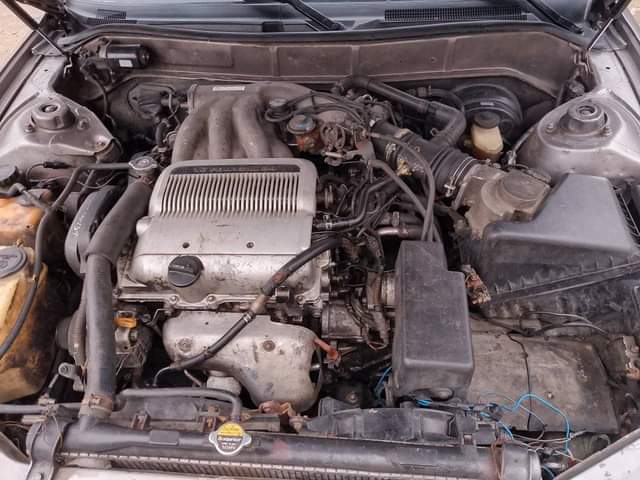 A picture of Camry Wagon