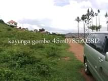 A picture of Good plots of mailo land
