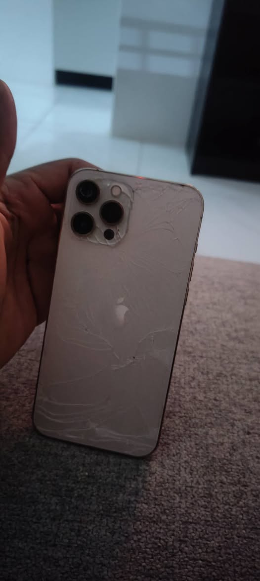 iphone pro max