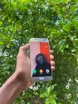 A picture of Samsung S7