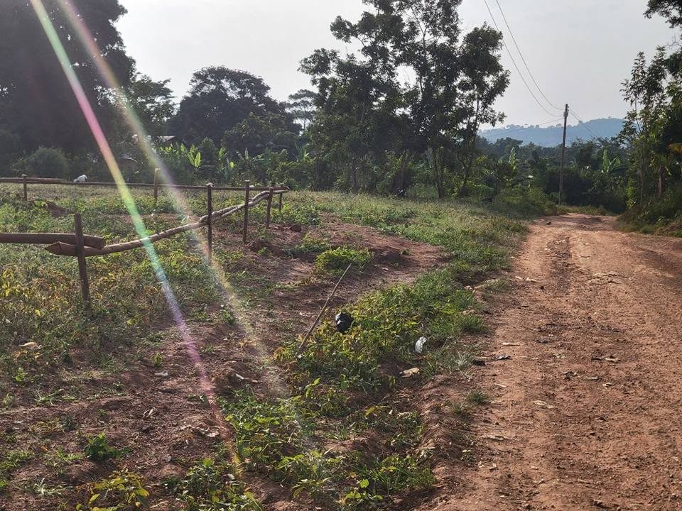 A picture of TITTLED PLOTS IN KAKIRI NAMPUNGE