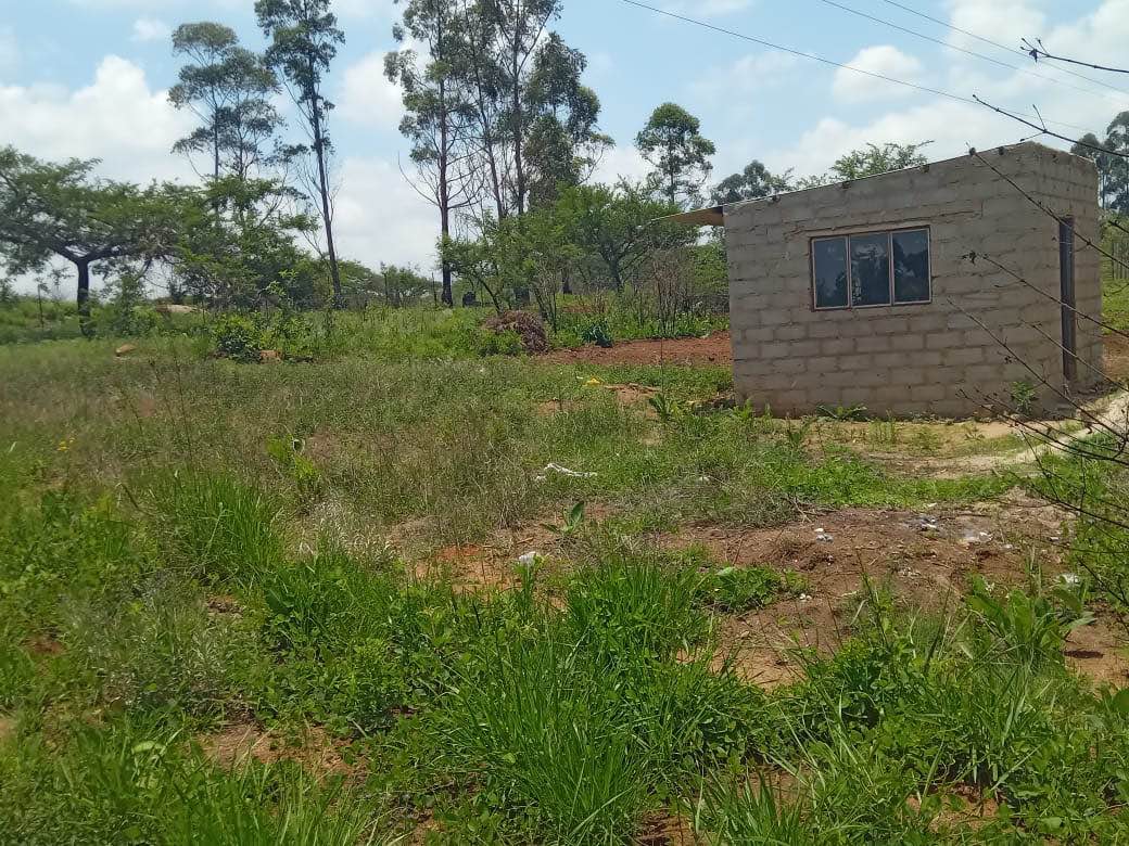 Mpendulo B.