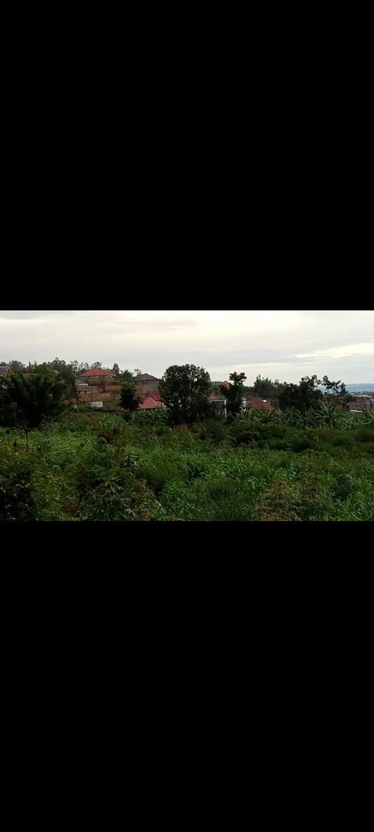 land