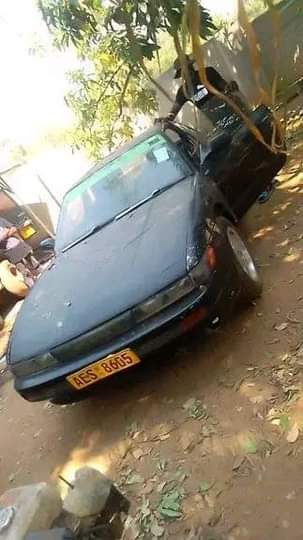 classifieds/cars nissan