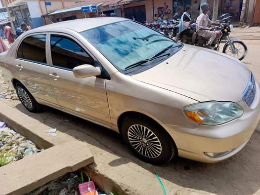 A picture of Direct bugumi standard First body Original duty Perfectly Location Bauchi