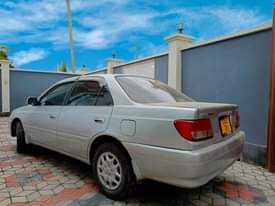 A picture of CARINA 0620356906