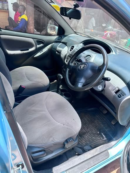 A picture of Vitz