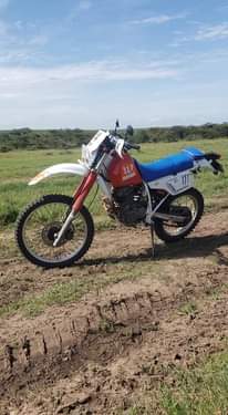 A picture of Njoo mapema uchukue ndama huyo