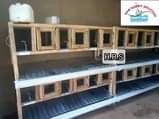 A picture of Rabbit Cage Construction
