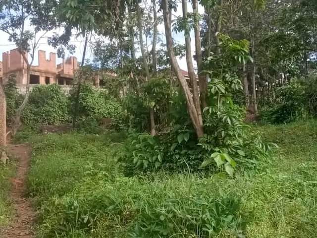 kagugu accommodation