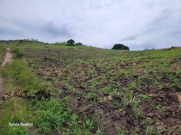 A picture of 50by100ft PLOTS FOR SALE at 5 5 m Ugx only