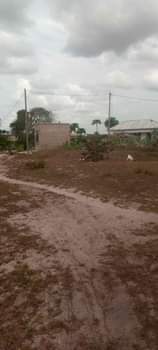 A picture of Kiwanja kinauzwa chamazi kipo jirani na nguzo ya umeme ukubwa