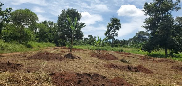 A picture of Plot FOR SALE Location Kiyunga Kibiribiri Mukono Plot Size 50ft