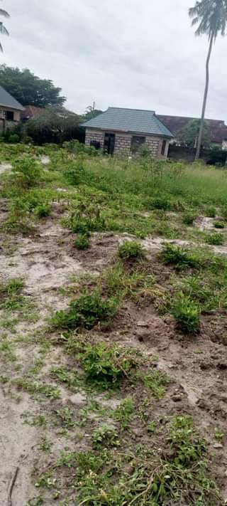 A picture of Eneo linauzwa