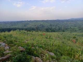 A picture of 40Acres on sale located at kiboga bugomolwa lc1 Selling from