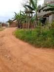 A picture of Gayaza busukuma quick sale plot