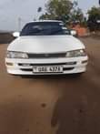 A picture of kikumi on sale 7 5million 0783138852 serious buyer only