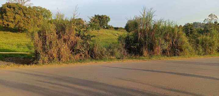 houses matugga
