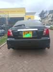 A picture of Subaru Anesis