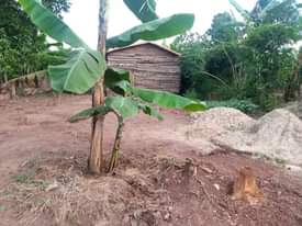 A picture of PLOT 25 100FT FOR SALE
