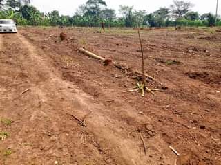 A picture of Plots for sale