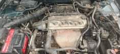 A picture of Honda accord 2001