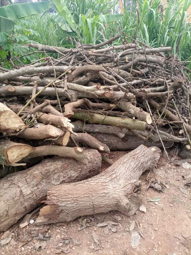 A picture of Firewood