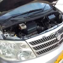 A picture of Alphard bumper dogo