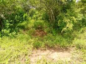A picture of Shamba linauzwa mbwewe pwani 0783496873
