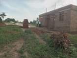 A picture of Kasangati nalusuga site Plot size 100by50ft 21m Plot size 70by50ft